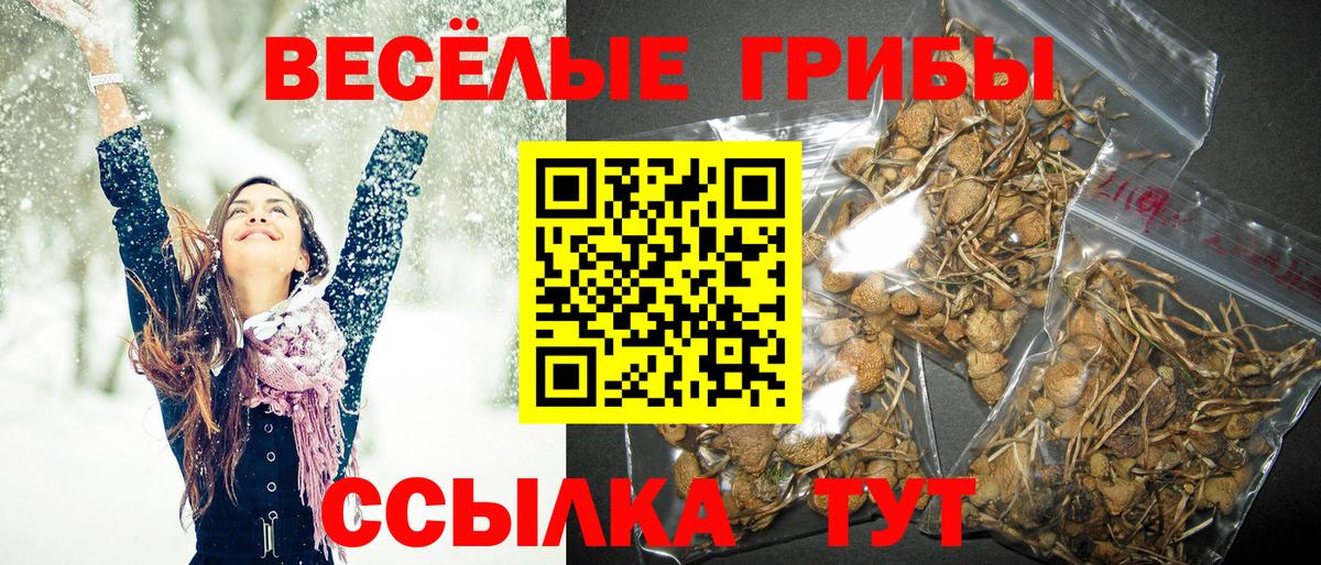 Нижнекамск  Псилоцибиновые грибы Psilocybe  Вход с VPN  Галлюциногенные грибы Magic Shrooms 