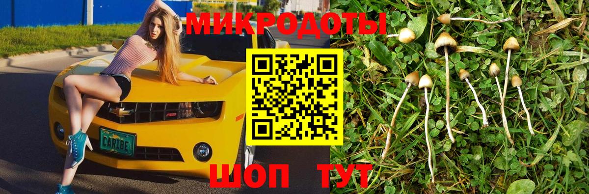 Галлюциногенные грибы мицелий Нижнекамск